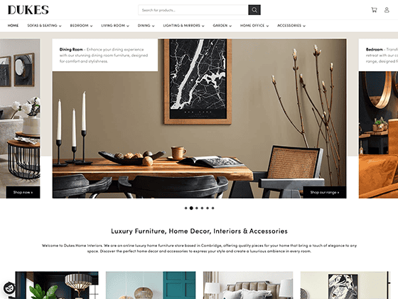 Professional Web Design