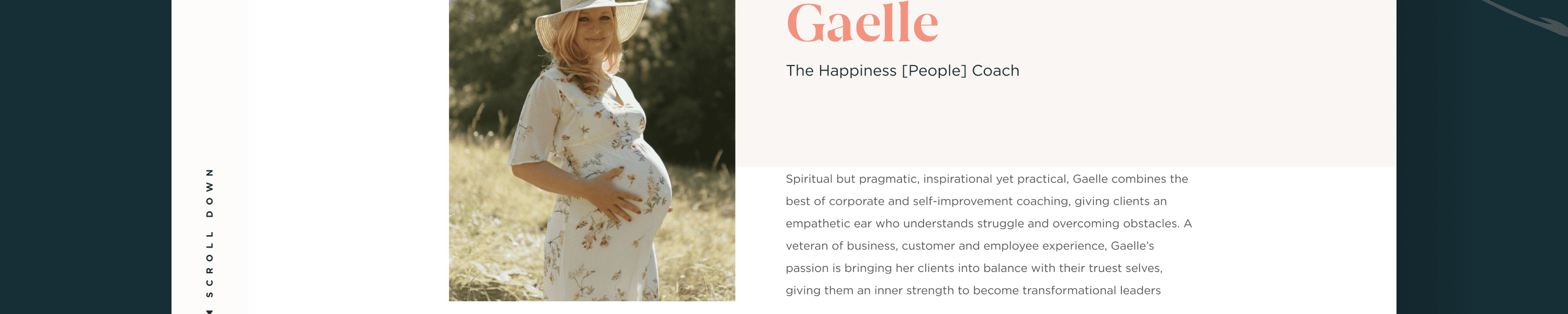 WorldEx Technologies